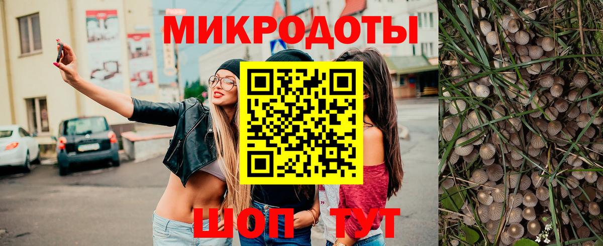 Псилоцибиновые грибы прущие грибы Арзамас