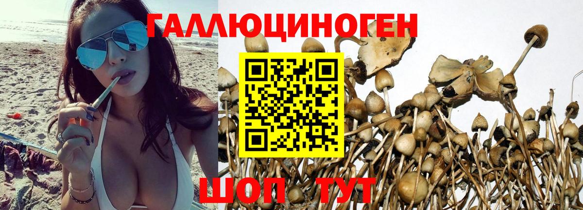 Арзамас  Псилоцибиновые грибы мухоморы  Вход с VPN 