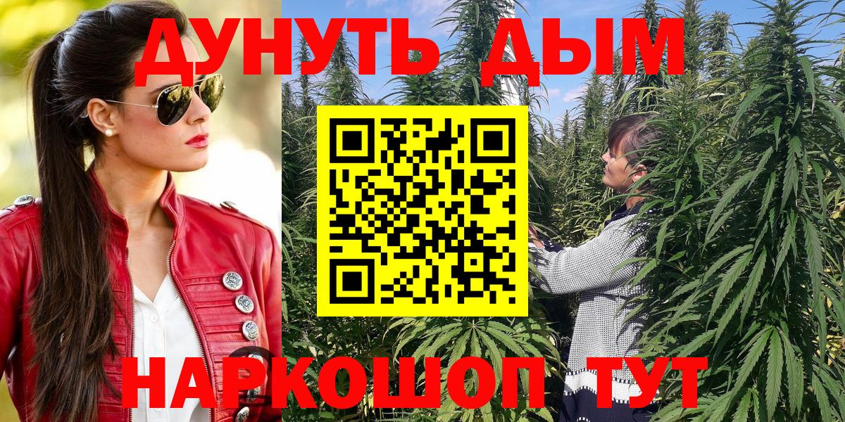 Конопля семена  Конопля OG Kush  Арзамас  Вход с VPN  Бошки марихуана сатива 